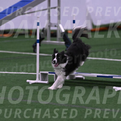 Digit-Fred-Pedersen-07602