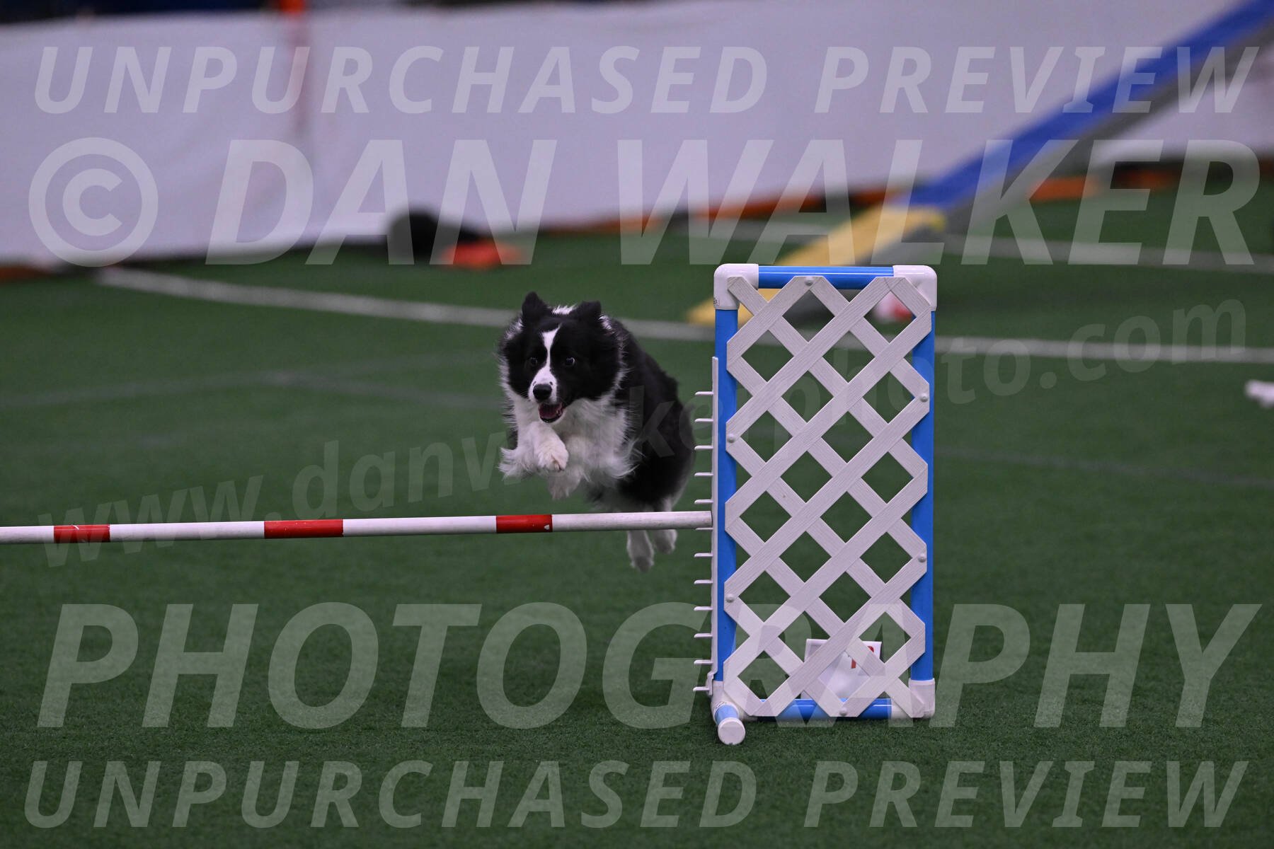 Digit-Fred-Pedersen-07605