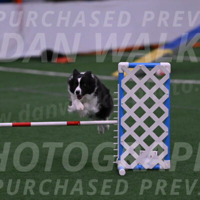 Digit-Fred-Pedersen-07605