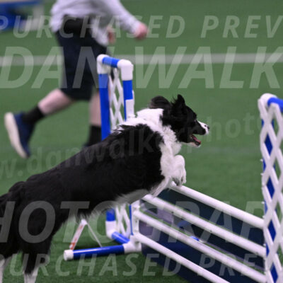 Digit-Fred-Pedersen-07612