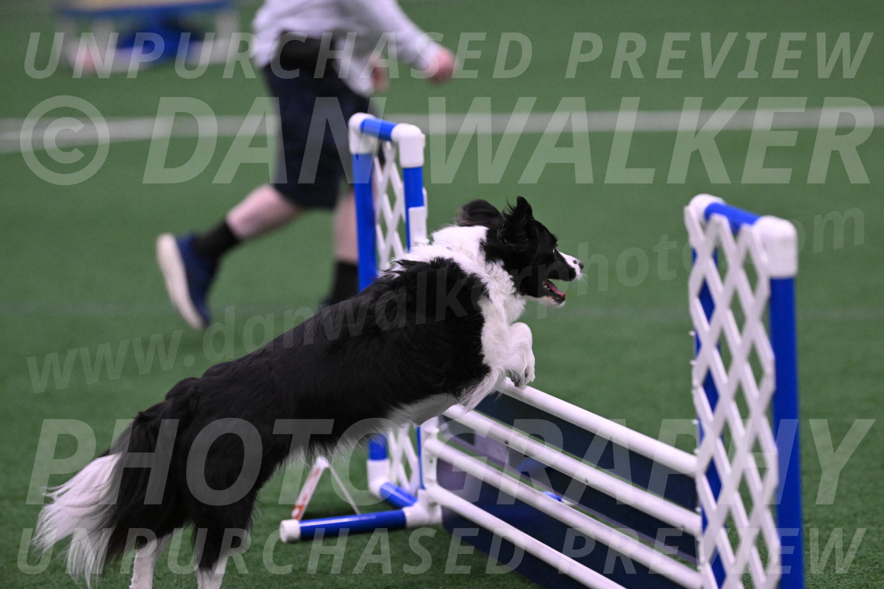 Digit-Fred-Pedersen-07612