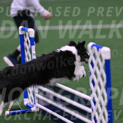 Digit-Fred-Pedersen-07613