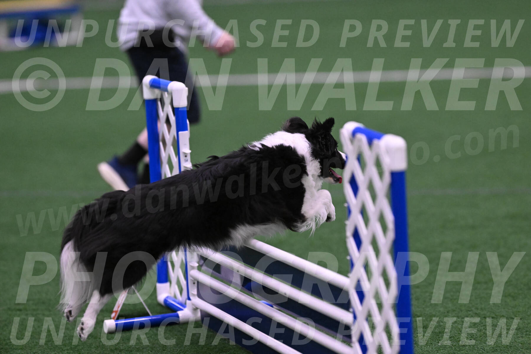 Digit-Fred-Pedersen-07613