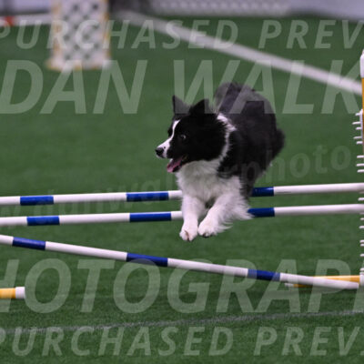 Digit-Fred-Pedersen-07618
