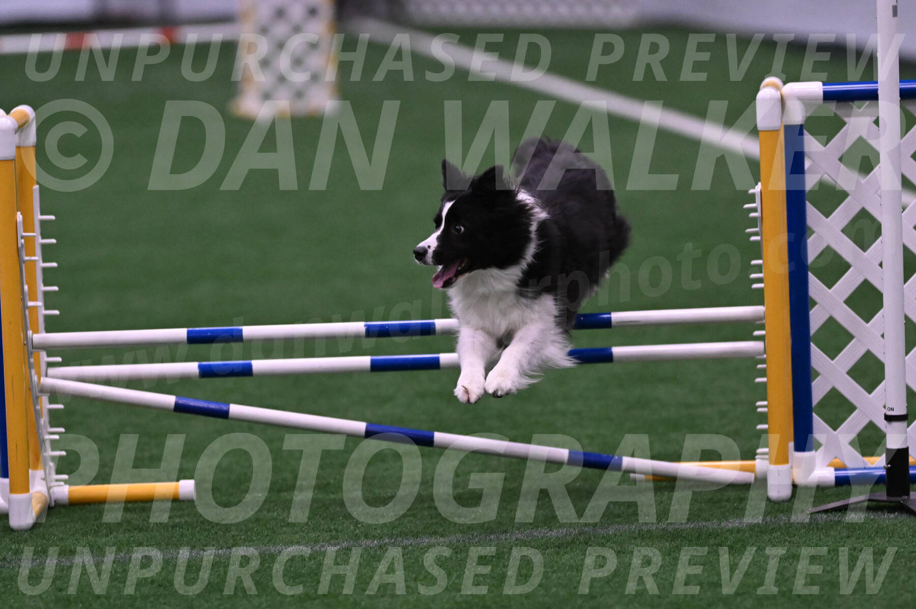 Digit-Fred-Pedersen-07618
