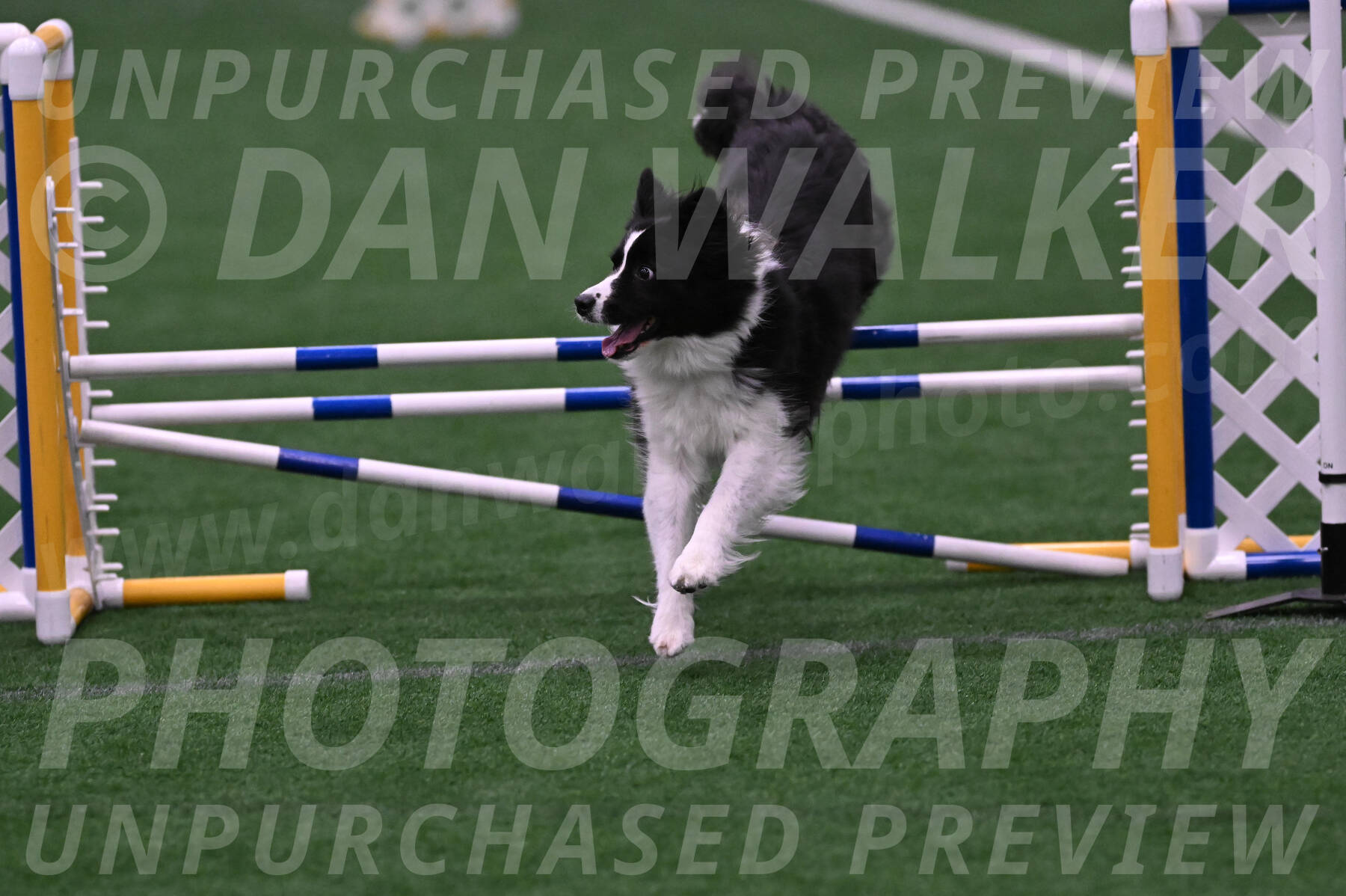 Digit-Fred-Pedersen-07619
