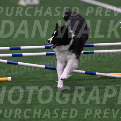 Digit-Fred-Pedersen-07619