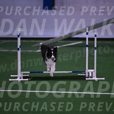 Digit-Fred-Pedersen-07622