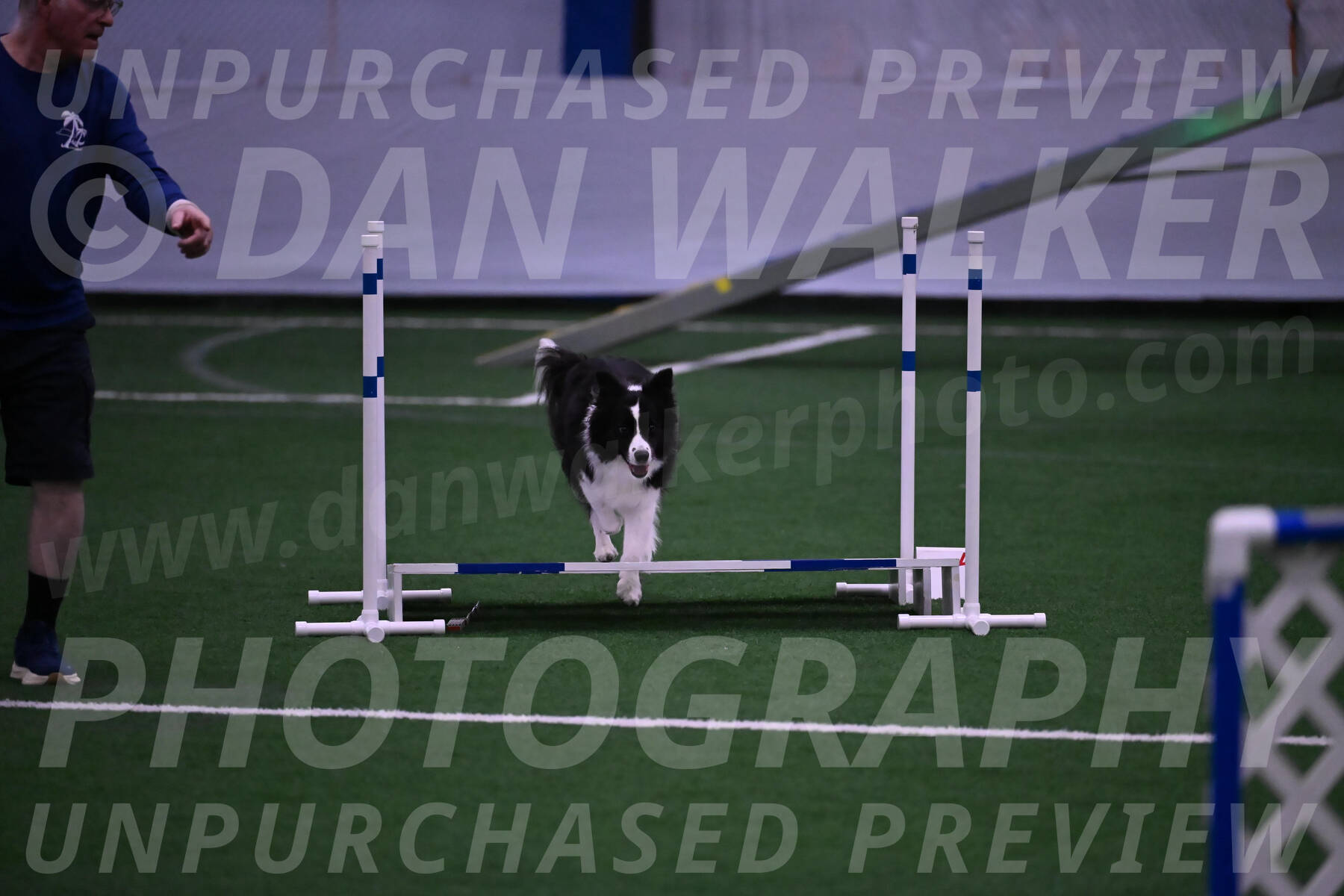 Digit-Fred-Pedersen-07622