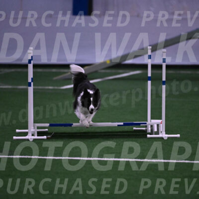 Digit-Fred-Pedersen-07623