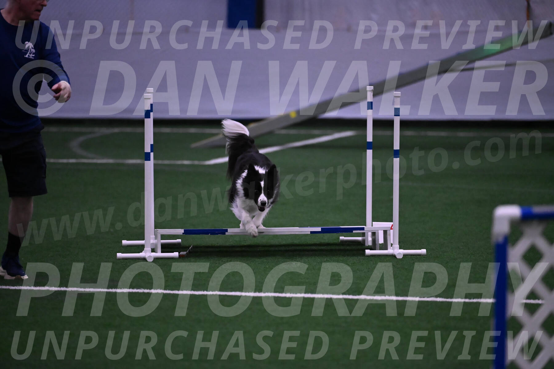 Digit-Fred-Pedersen-07623