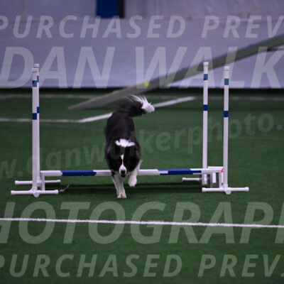 Digit-Fred-Pedersen-07624
