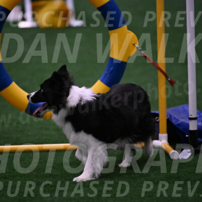 Digit-Fred-Pedersen-07632