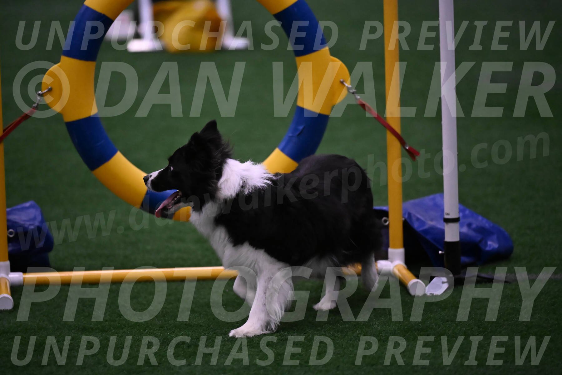 Digit-Fred-Pedersen-07632