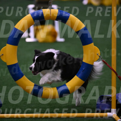 Digit-Fred-Pedersen-07634