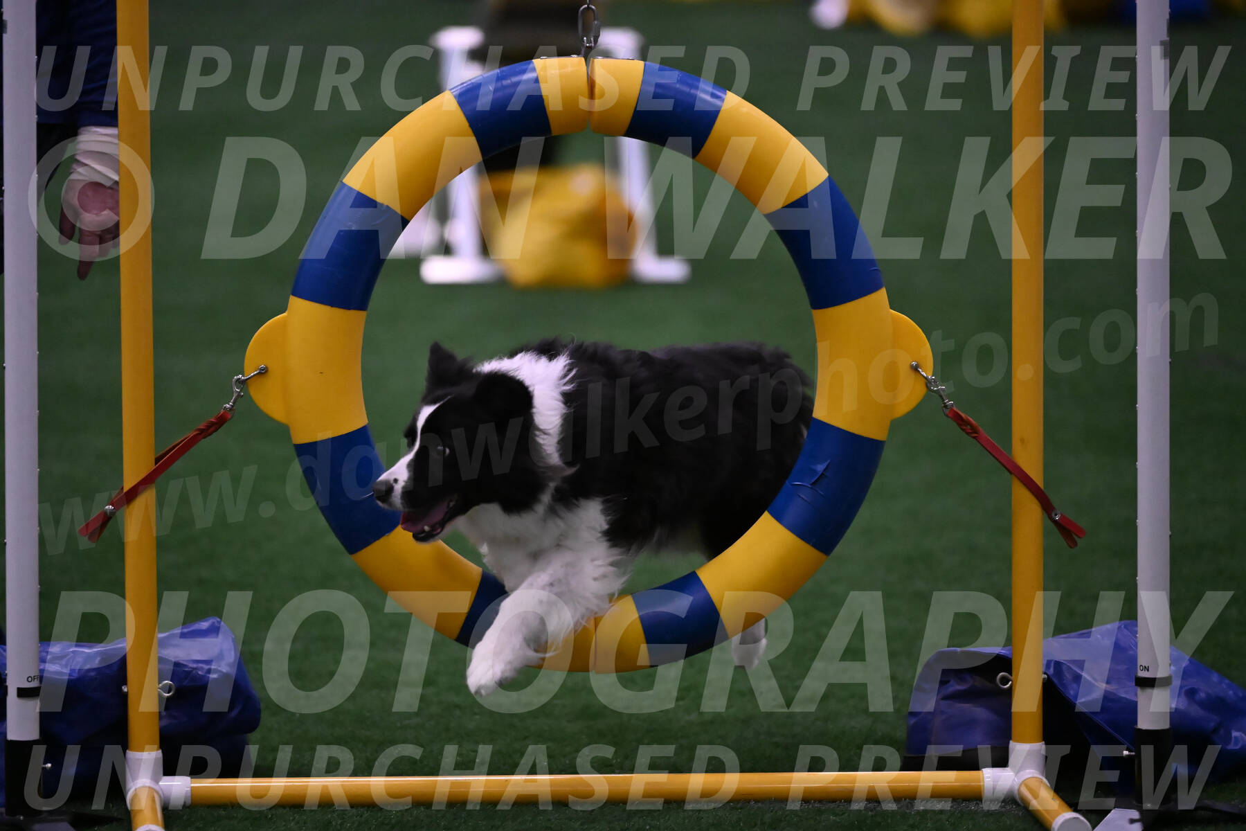 Digit-Fred-Pedersen-07635
