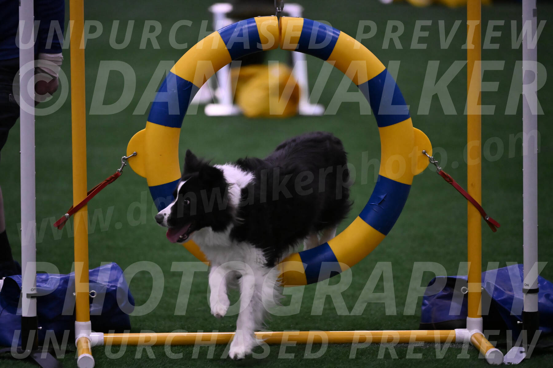 Digit-Fred-Pedersen-07636