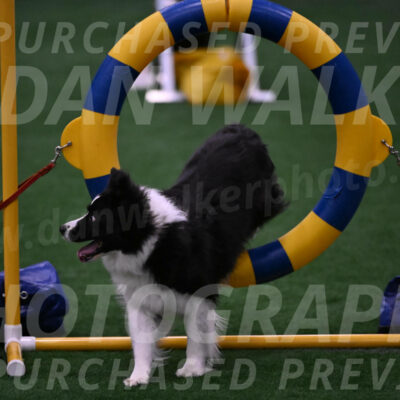 Digit-Fred-Pedersen-07637