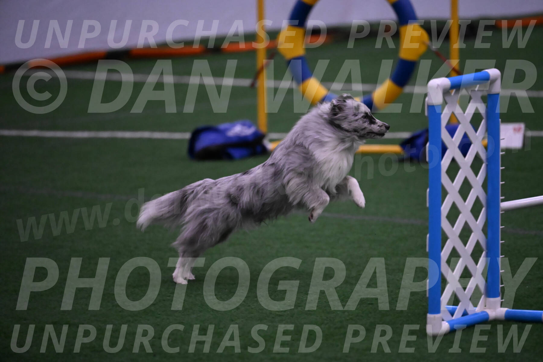 Dulci-Ulli-Weinrich-01434