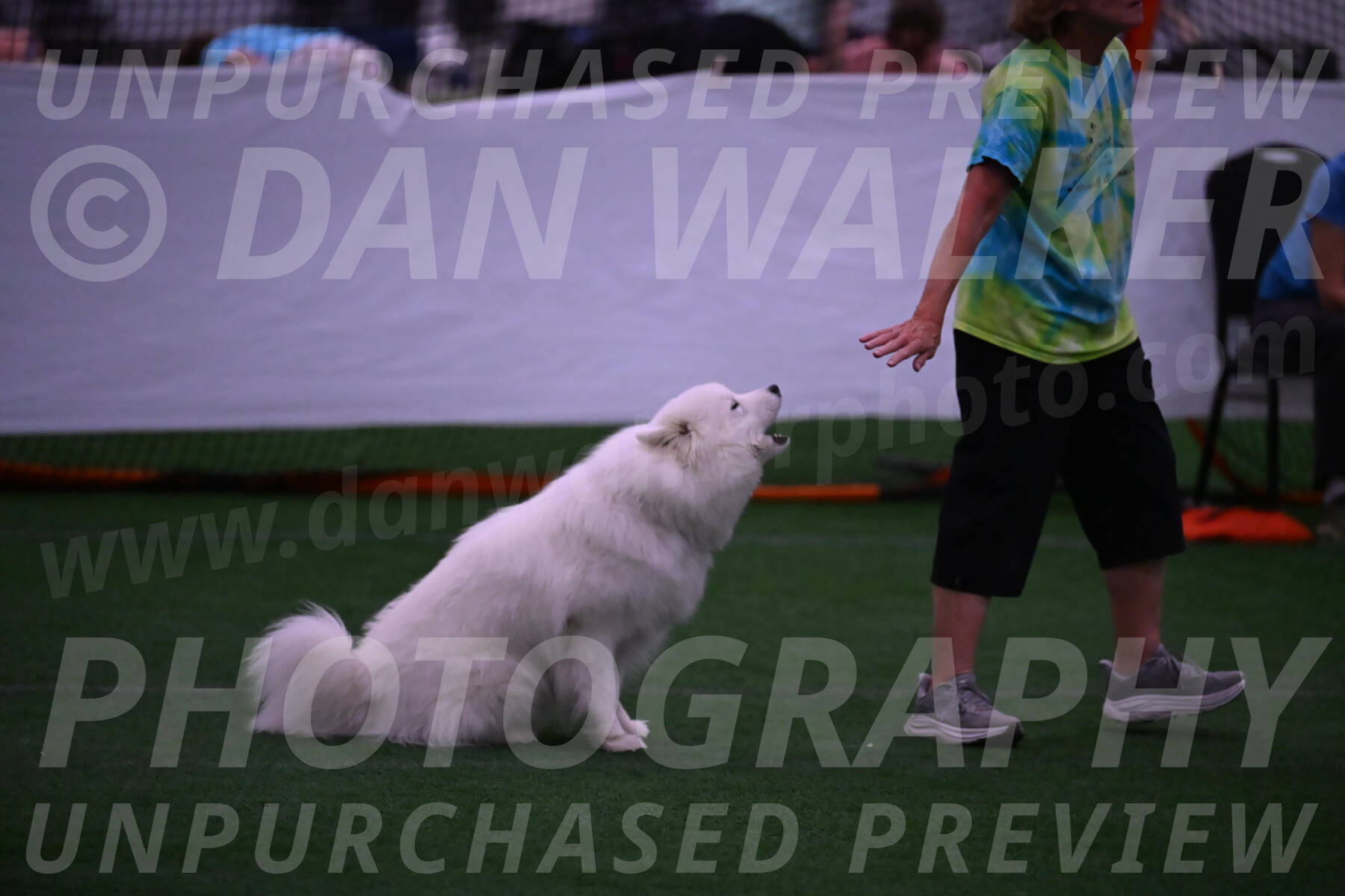 Expo-Pam-Lewis-03334