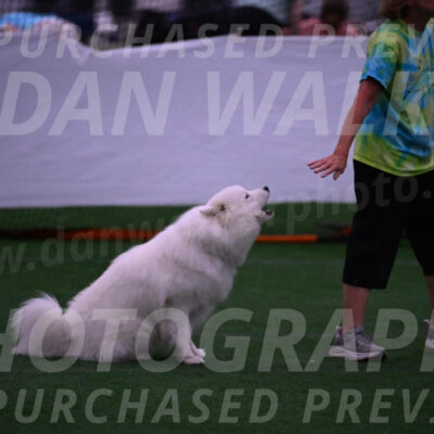 Expo-Pam-Lewis-03334