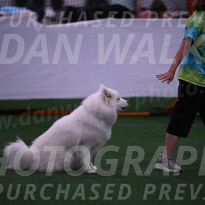 Expo-Pam-Lewis-03336