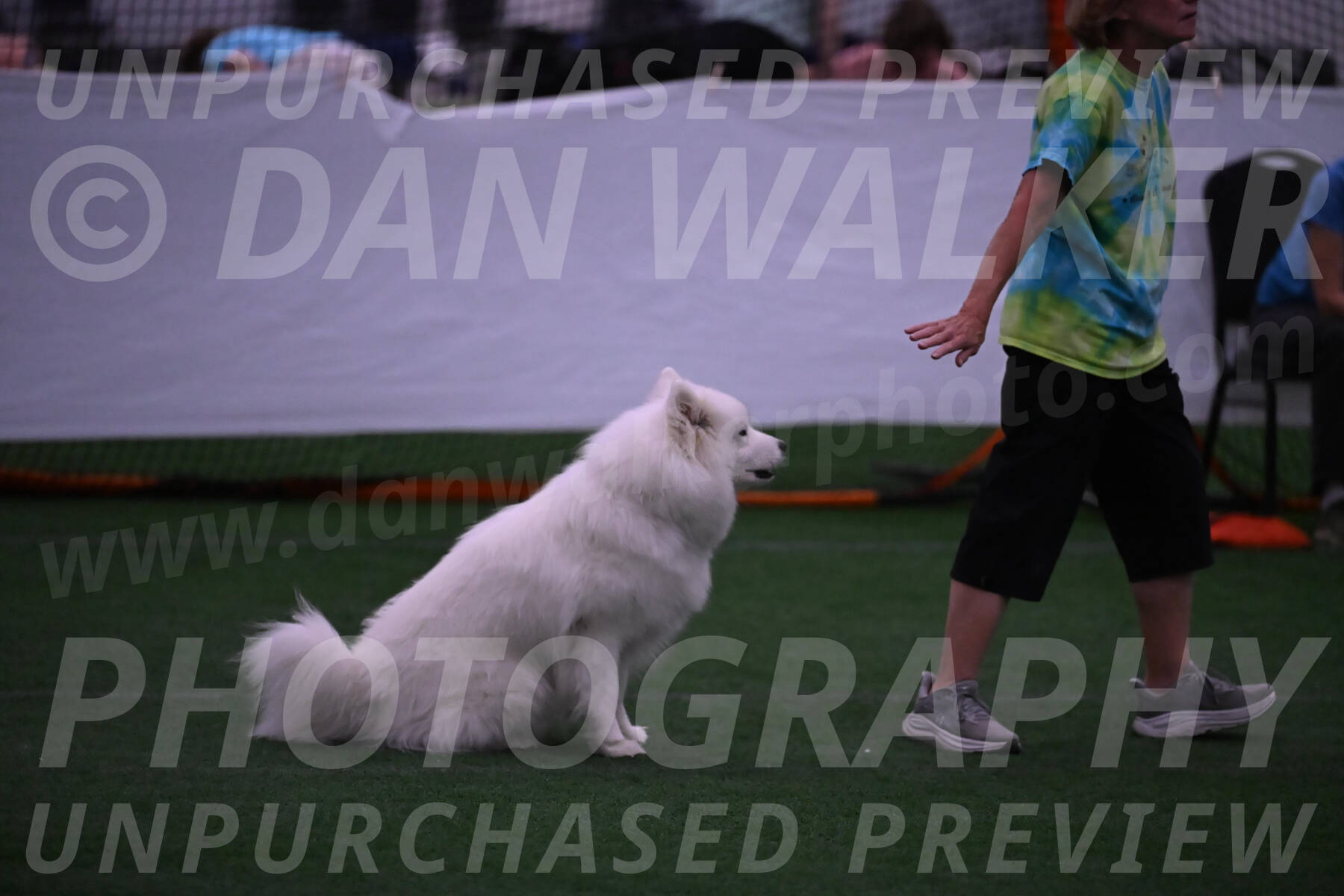 Expo-Pam-Lewis-03336