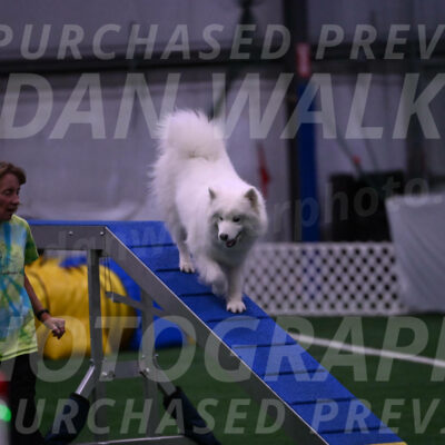 Expo-Pam-Lewis-03358