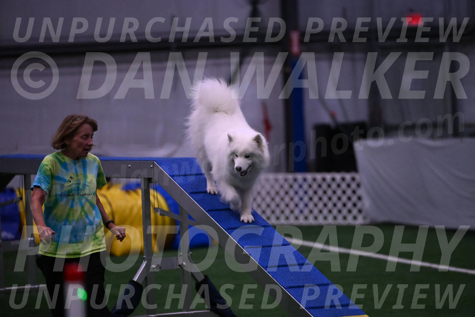 Expo-Pam-Lewis-03358