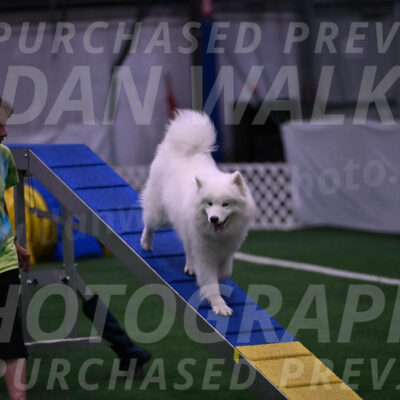 Expo-Pam-Lewis-03359