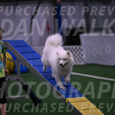 Expo-Pam-Lewis-03360