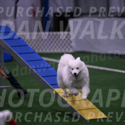 Expo-Pam-Lewis-03362