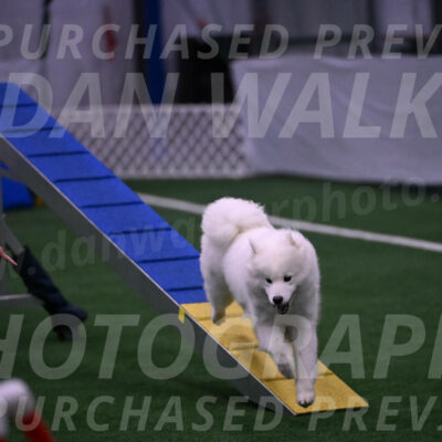 Expo-Pam-Lewis-03363