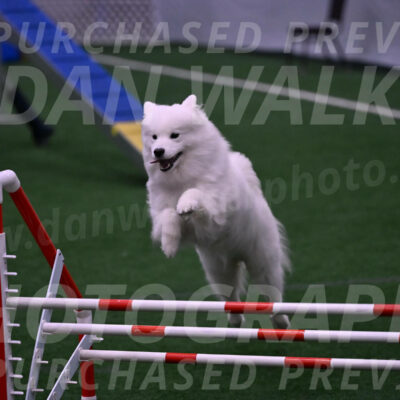 Expo-Pam-Lewis-03366