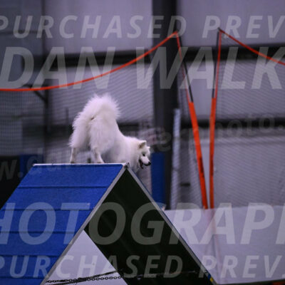 Expo-Pam-Lewis-03370