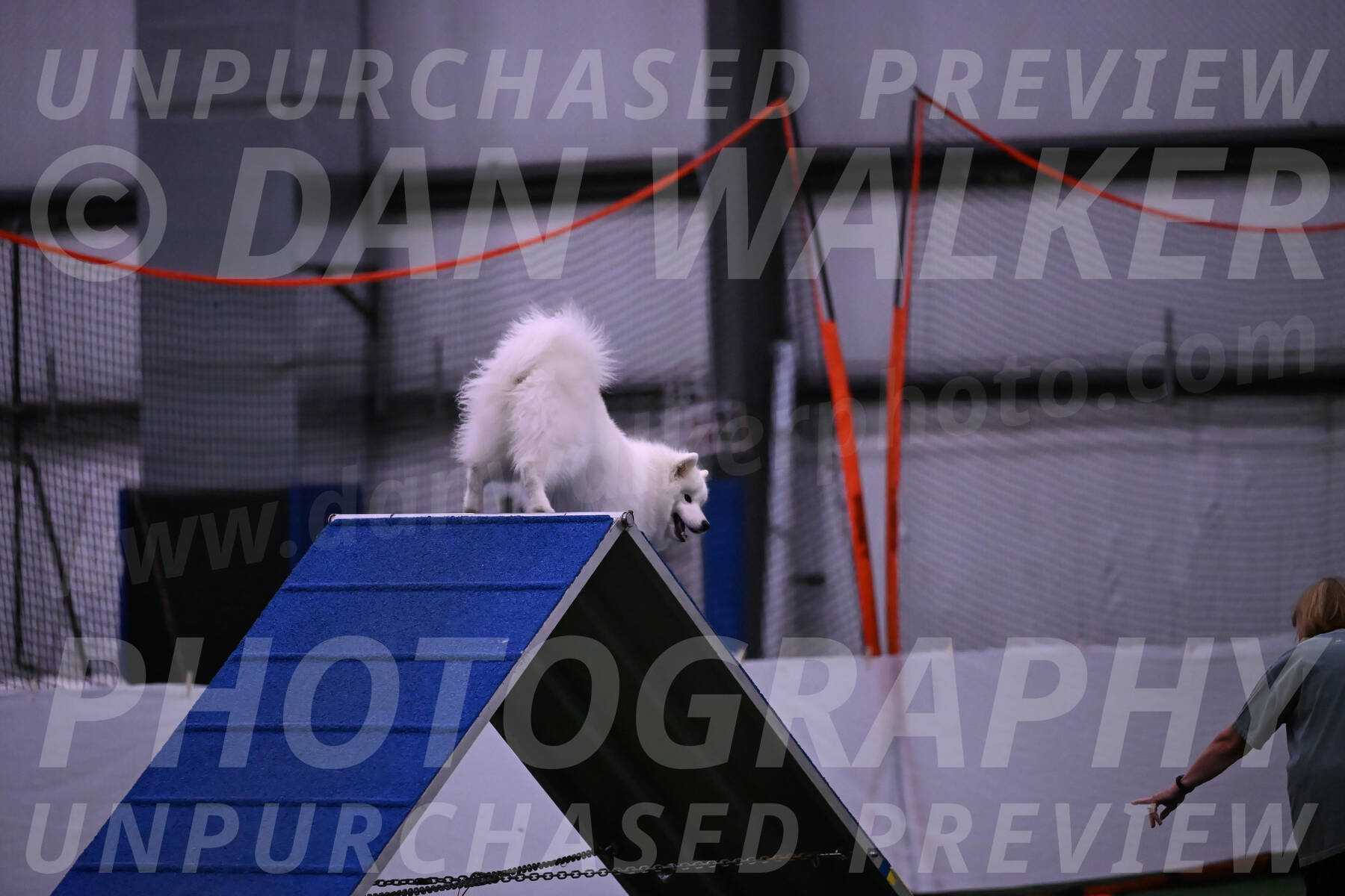 Expo-Pam-Lewis-03371