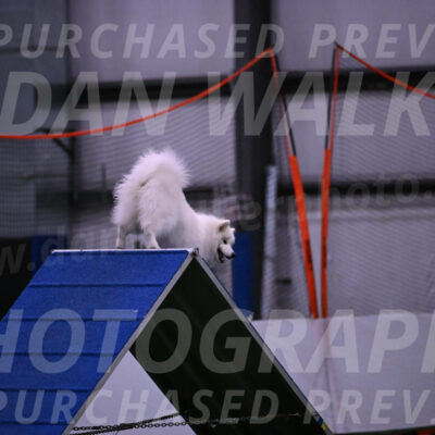 Expo-Pam-Lewis-03371