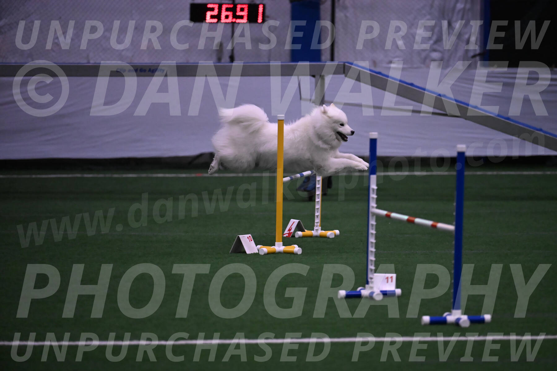 Expo-Pam-Lewis-03377
