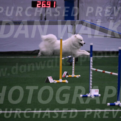 Expo-Pam-Lewis-03377