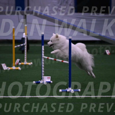 Expo-Pam-Lewis-03381