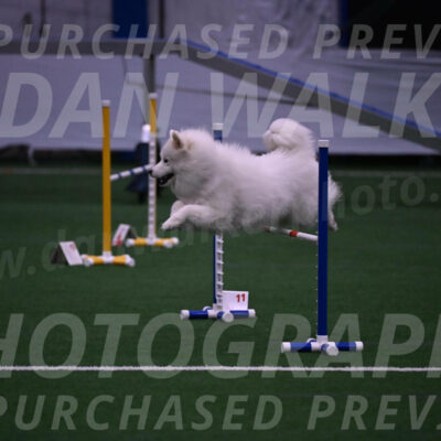 Expo-Pam-Lewis-03383