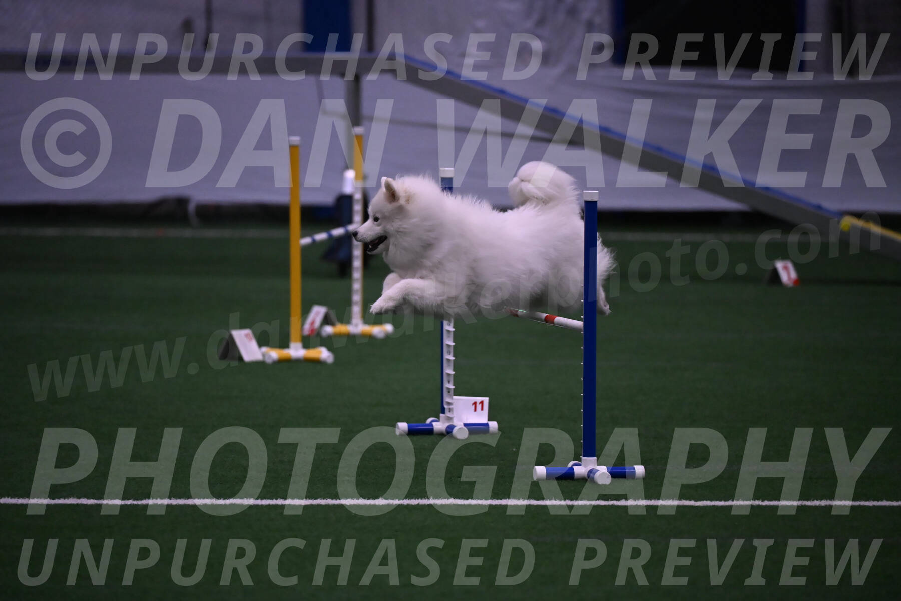 Expo-Pam-Lewis-03383