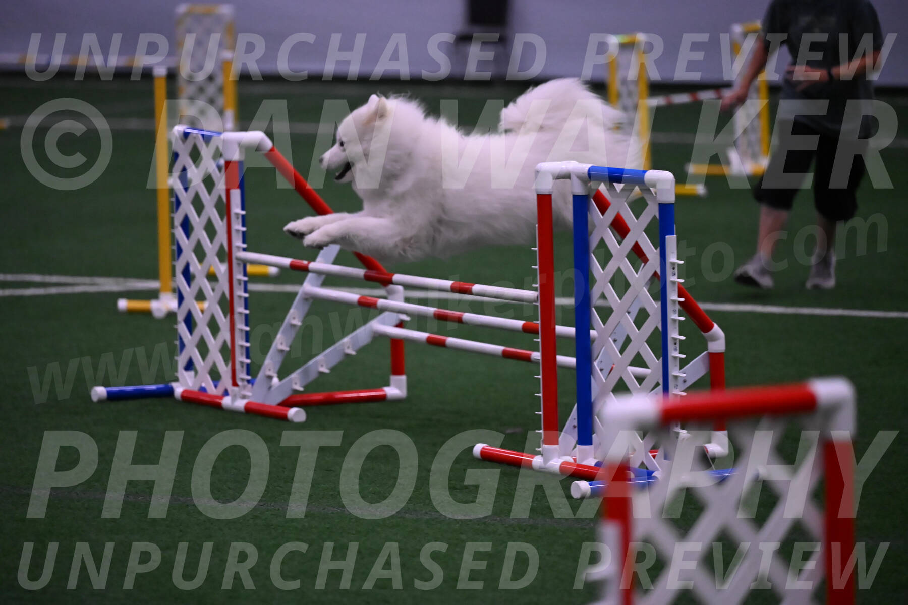 Expo-Pam-Lewis-03388