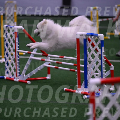Expo-Pam-Lewis-03388