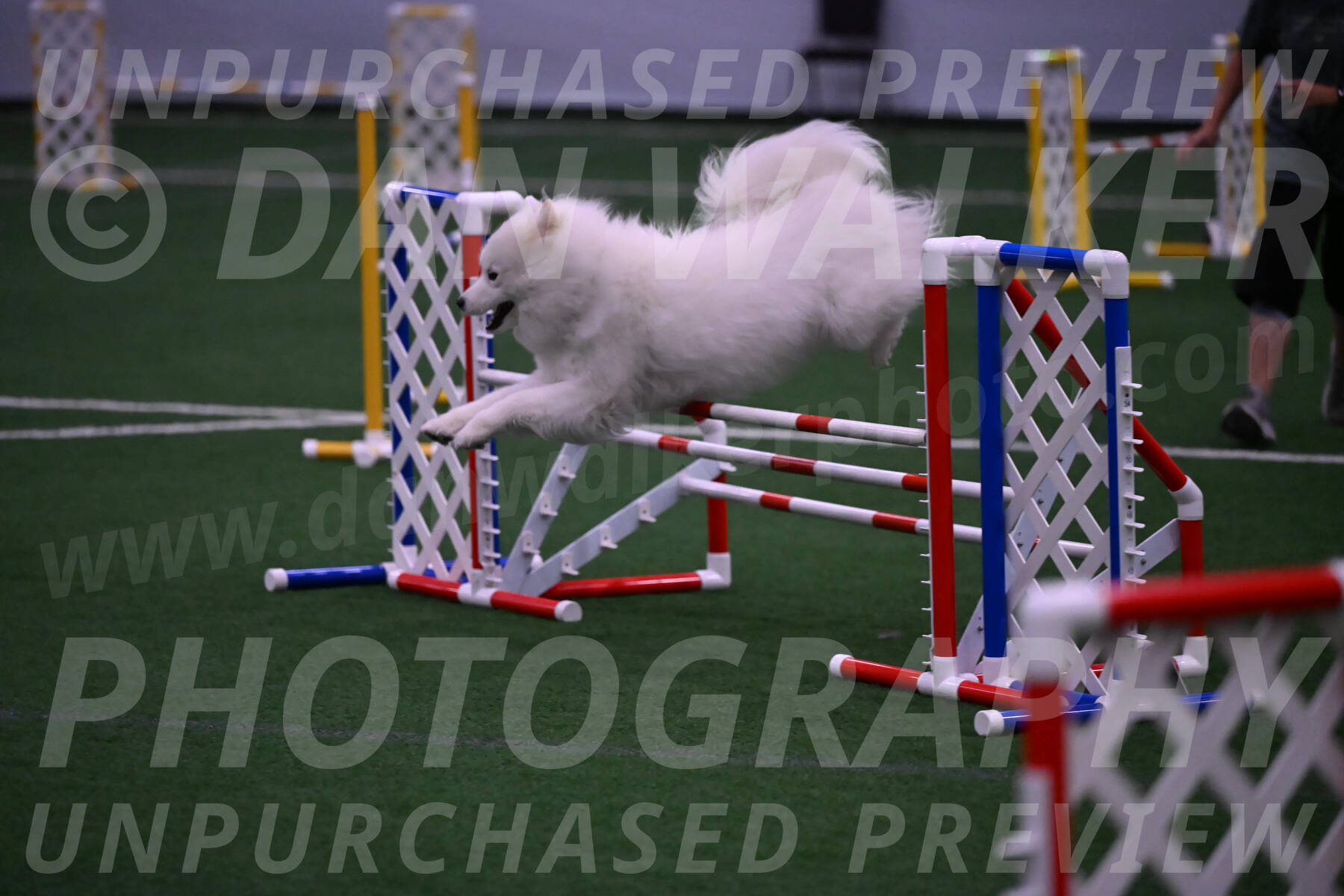 Expo-Pam-Lewis-03389
