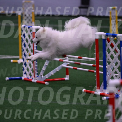 Expo-Pam-Lewis-03389