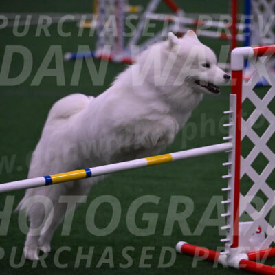 Expo-Pam-Lewis-03398