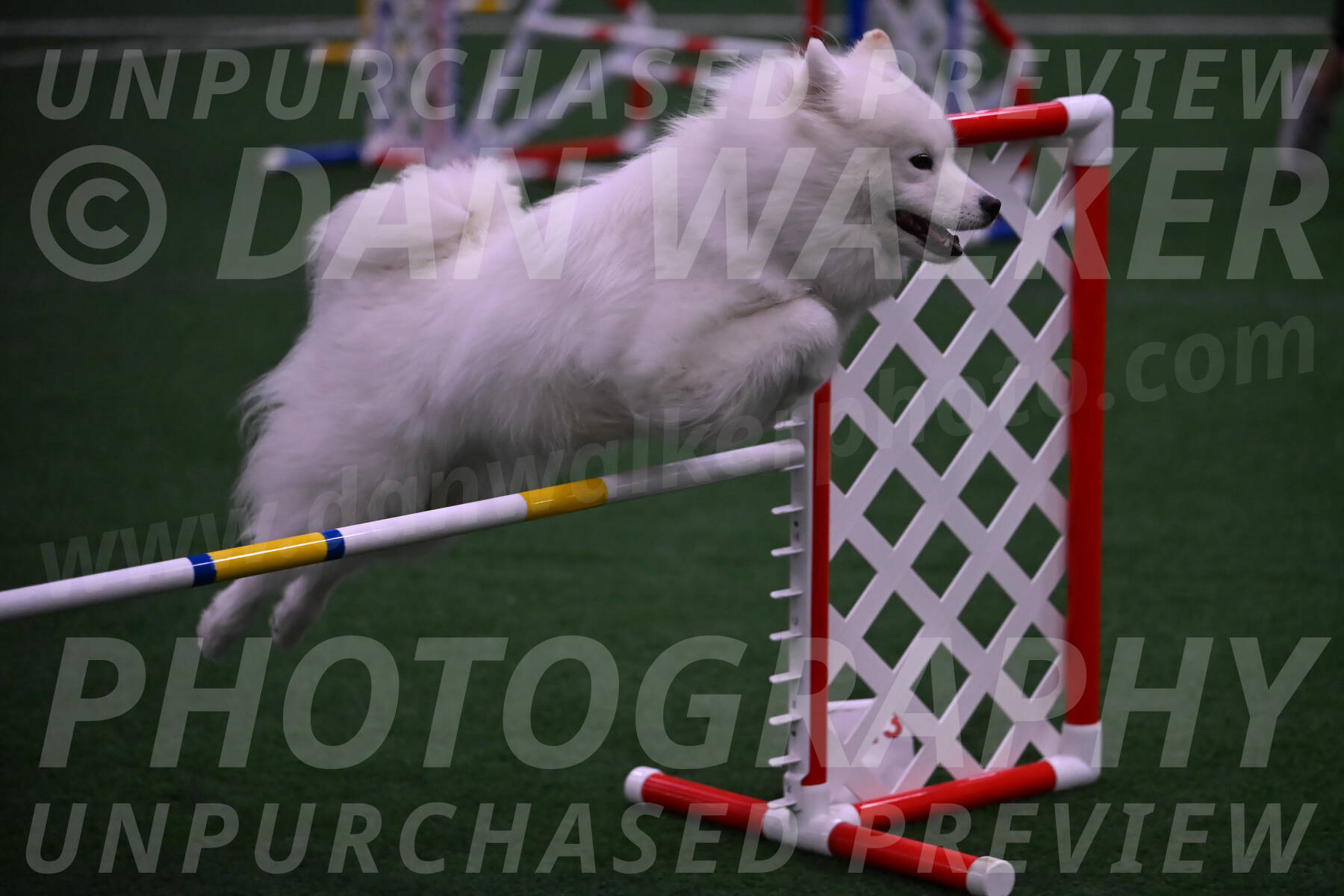 Expo-Pam-Lewis-03399