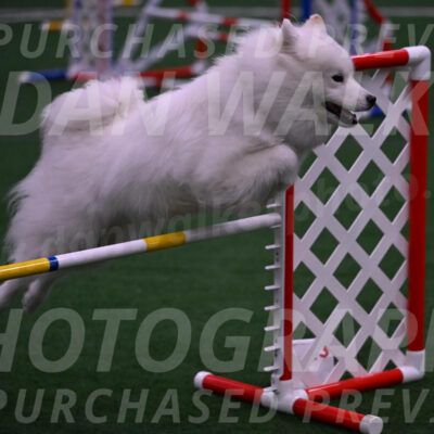 Expo-Pam-Lewis-03399