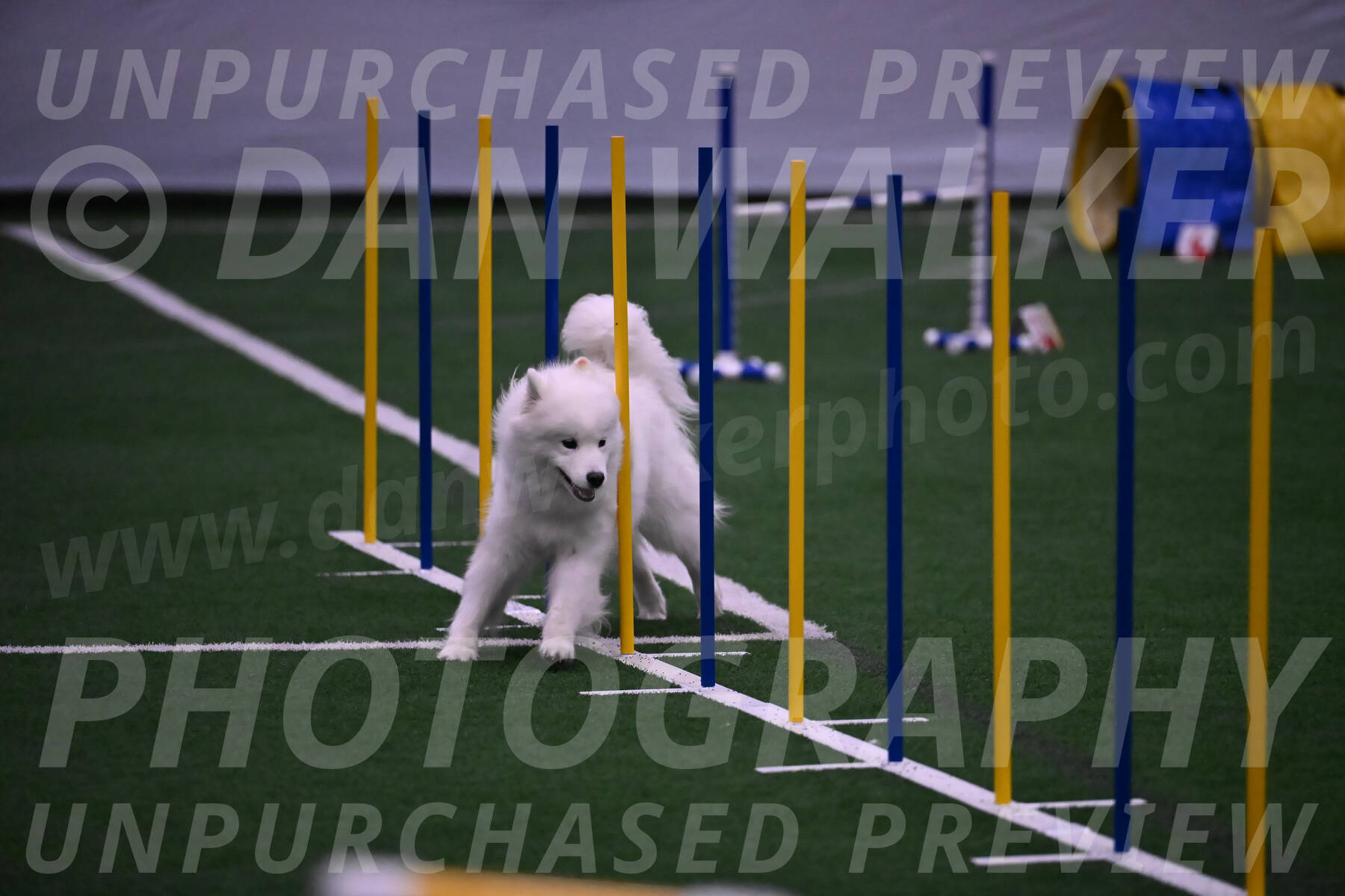 Expo-Pam-Lewis-03416